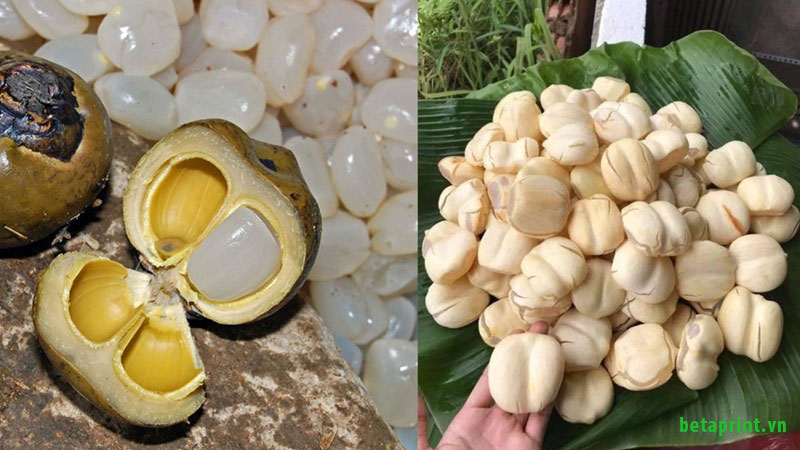 Phân biệt hạt đác với thốt nốt để lựa chọn nguyên liệu phù hợp cho món ăn giải nhiệt